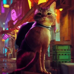 Stray